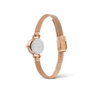 Montre Daniel Wellington Femme PETITE MINI in Acier plaqué or rose DW00100744 - DW00100744